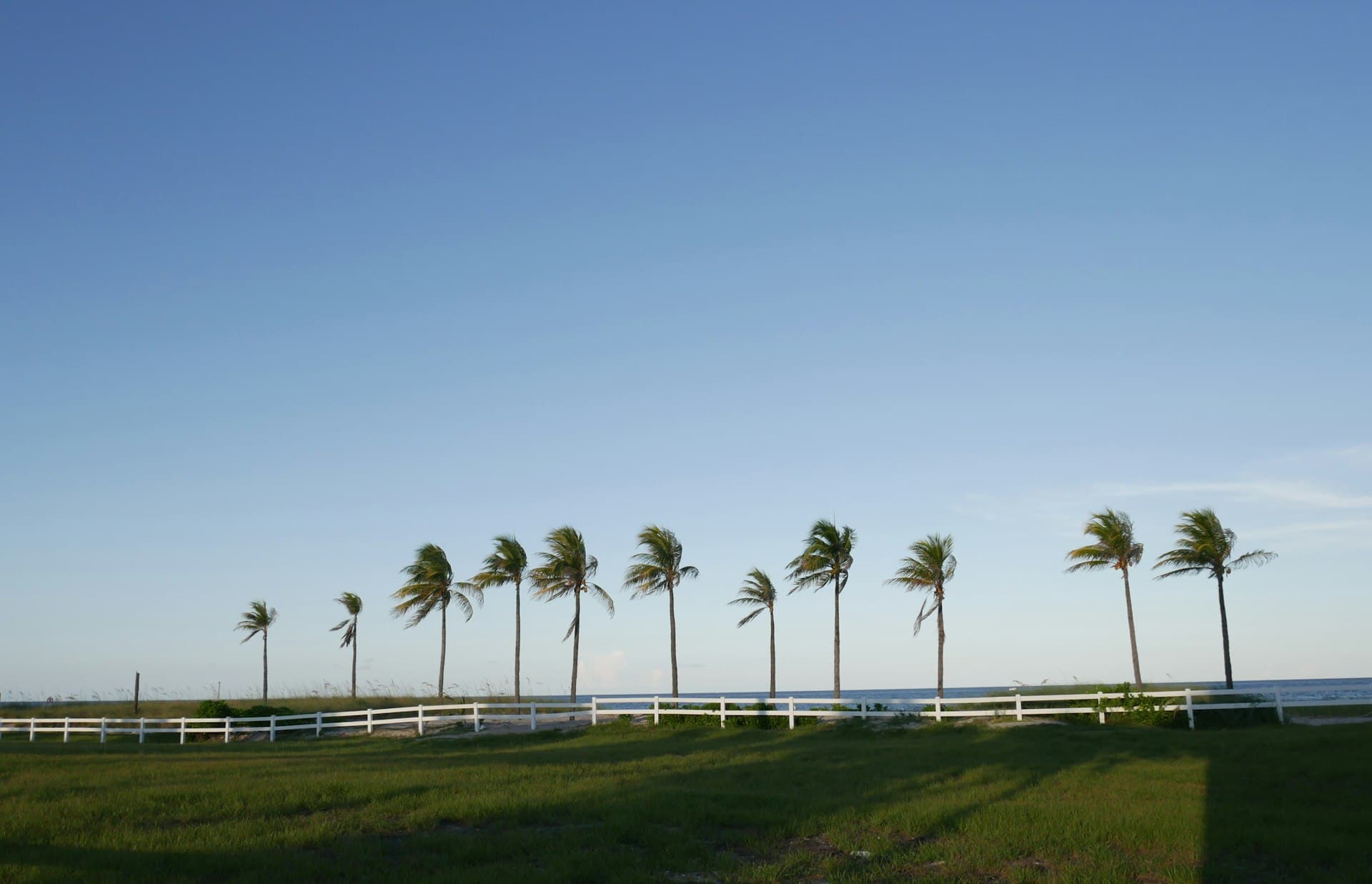 Coral Springs area