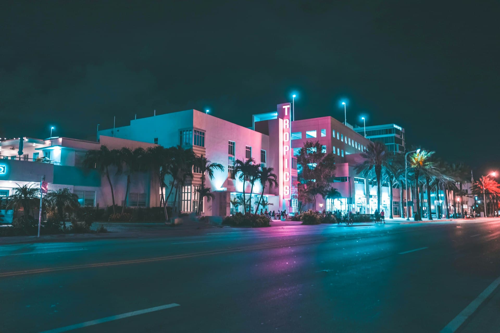 South Florida palm trees and skyline